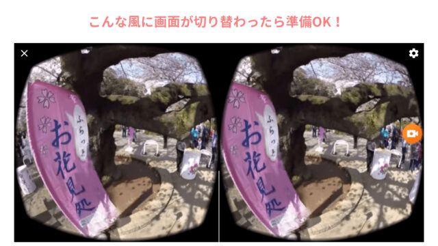 【お花見VRのやり方】1000円で簡単にできるインドア花見で、おうち時間を楽しもう。
