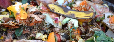 SDGs「フードロス・食料廃棄の問題」の高校生向けレポートの書き方紹介