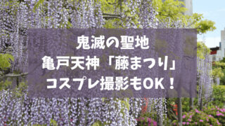 鬼滅の聖地「藤まつり」を亀戸天神で楽しむ！コスプレ撮影で映える！