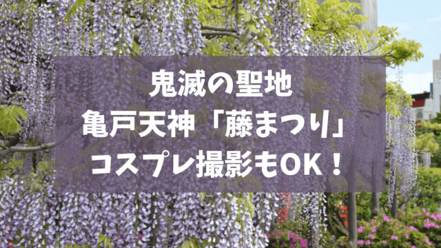 鬼滅の聖地「藤まつり」を亀戸天神で楽しむ！コスプレ撮影で映える！