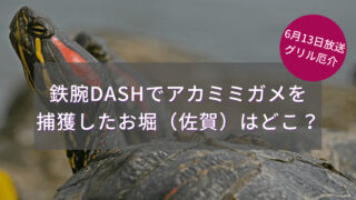 鉄腕DASHでアカミミガメを捕獲したお堀（佐賀）はどこ？6/13グリル厄介