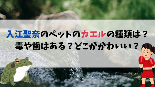 入江聖奈のペットのカエルの種類は？毒や歯はある？どこがかわいいのか魅力を調査