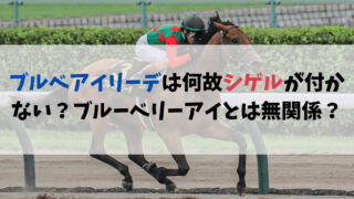 ブルベアイリーデは何故シゲルが付かない？ブルーベリーアイとは無関係？