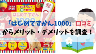 「はじめてずかん1000」口コミからメリット・デメリットを調査！