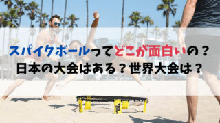 スパイクボールってどこが面白いの？日本の大会はある？世界大会に出る方法
