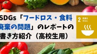 SDGs「フードロス・食料廃棄の問題」の高校生向けレポートの書き方紹介