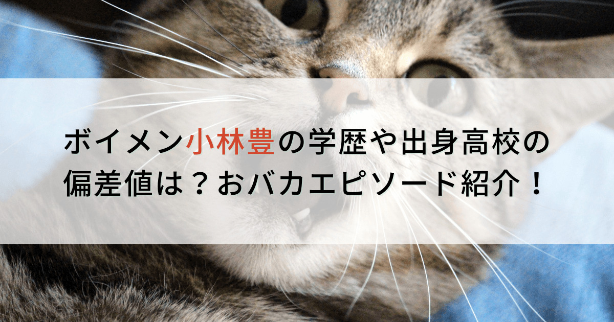 ボイメン小林豊の学歴や出身高校の偏差値は おバカエピソードがすごい カパりんブログ