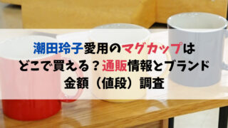 潮田玲子愛用のマグカップはどこで買える？通販情報とブランド、金額（値段）調査